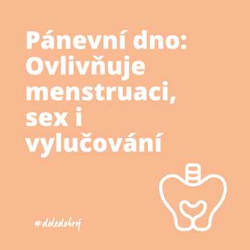 Ovlivňuje menstruaci, sex i vylučování. Vše o pánevním dnu
