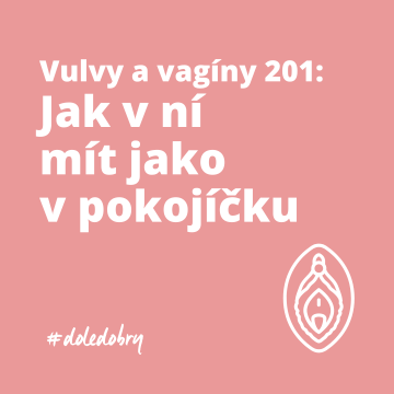 Vulvy a vagíny 201: Jak v ní mít jako v pokojíčku